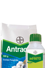 Protection for a healthier yield