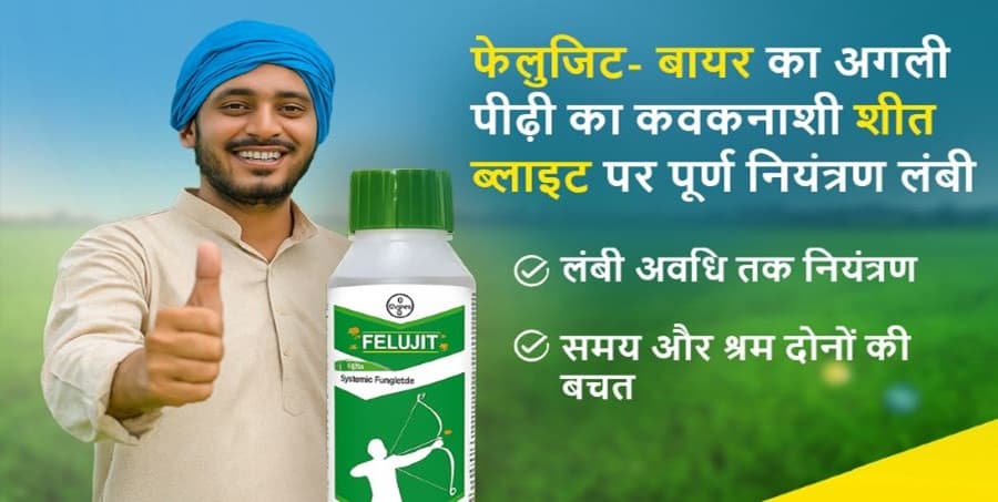 Felujit hIndi2
