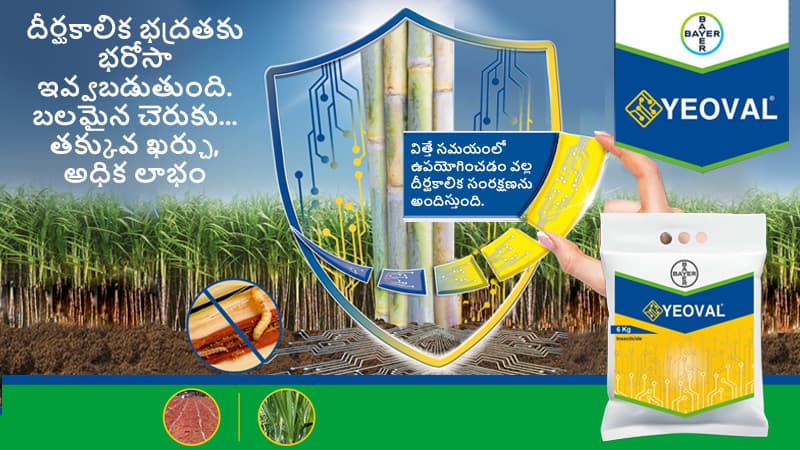 Yevol Banner Telugu