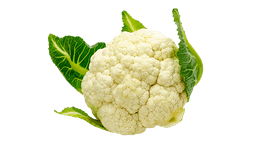 ফুলকপি