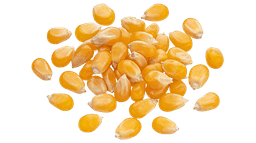 Corn
