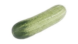 Cucumber