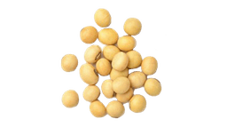 Soybean