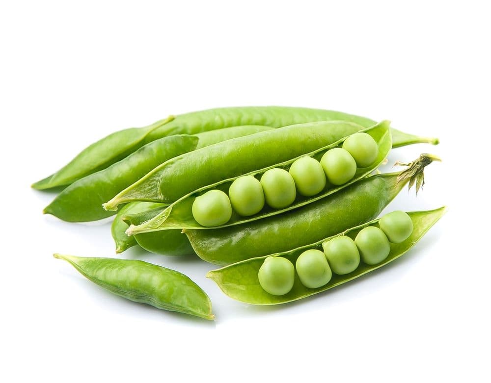 Government Scheme Image