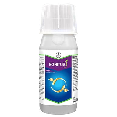 EGNITUS®