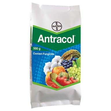 Antracol®