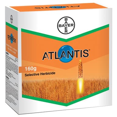 ATLANTIS®