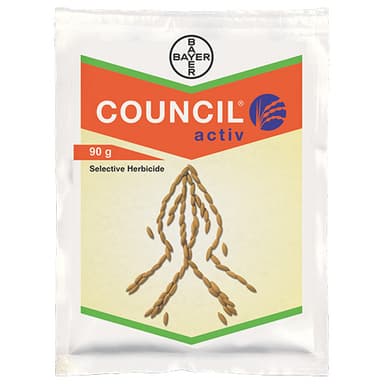 COUNCIL® activ