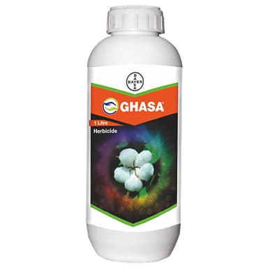 GHASA®