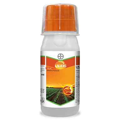 LAUDIS®