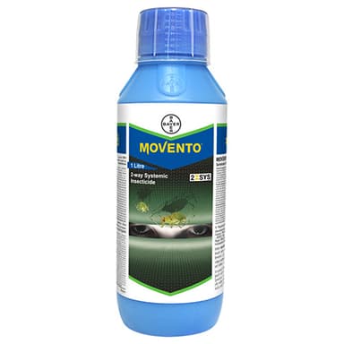 MOVENTO®