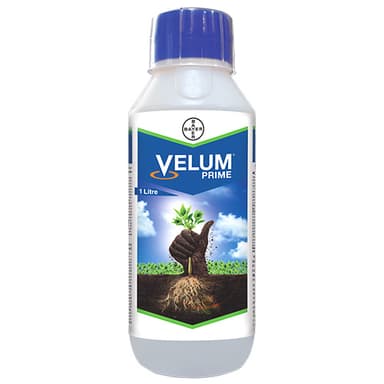 VELUM® PRIME