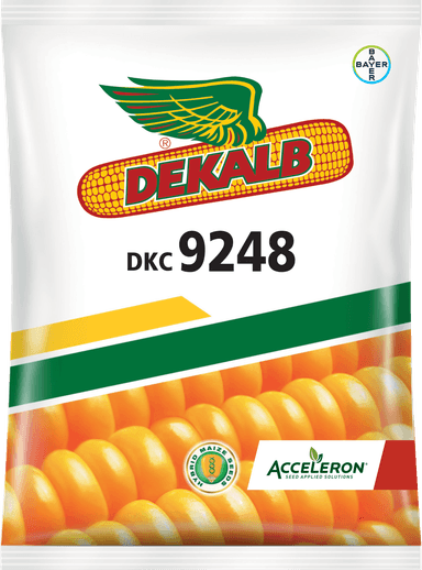 డికెసీ 9248