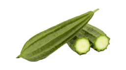 Ridge Gourd