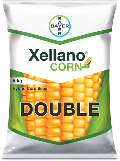 Xellano DOUBLE