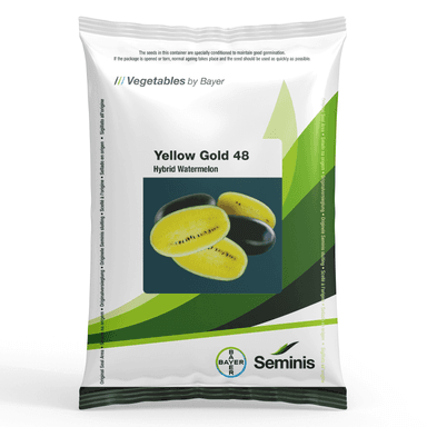 Yellow Gold 48