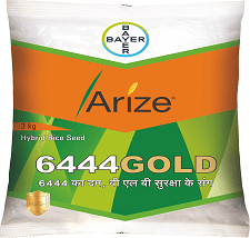 అరైజ్ 6444 గోల్డ్
